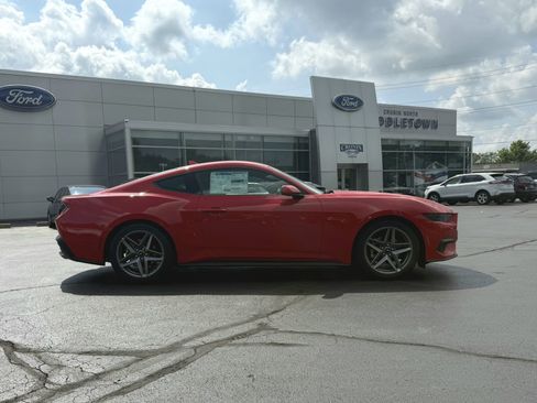 New 2025 Ford Mustang EcoBoost image 4