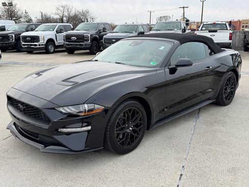 Used 2022 Ford Mustang Premium image 11