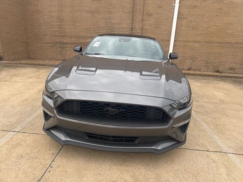 Used 2022 Ford Mustang Coupe w/ Equipment Group 101A RWD image 2