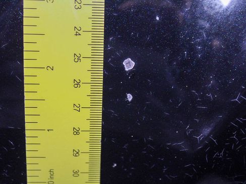 Used 2005 Subaru Baja Turbo image 34