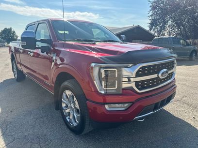 Used 2023 Ford F150 Platinum