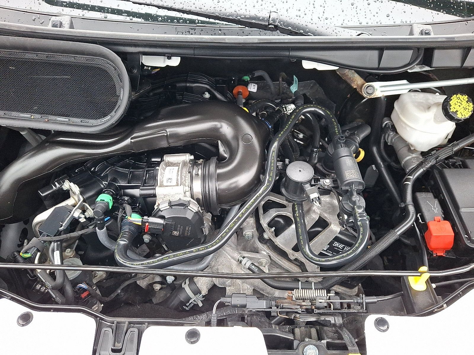 Certified 2025 Ford Transit 250 Low Roof w/ Exterior Upgrade Package RWD image 27