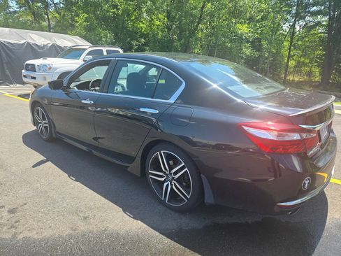 Used 2017 Honda Accord Sport image 4