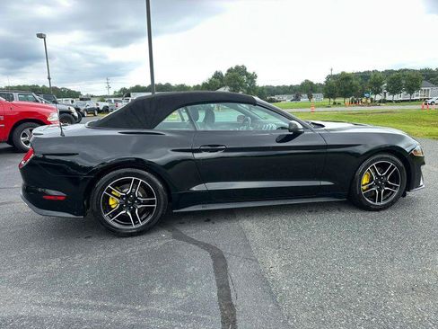 Used 2019 Ford Mustang Premium RWD image 15