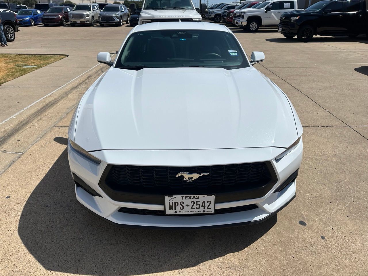 Used 2025 Ford Mustang Coupe RWD image 2