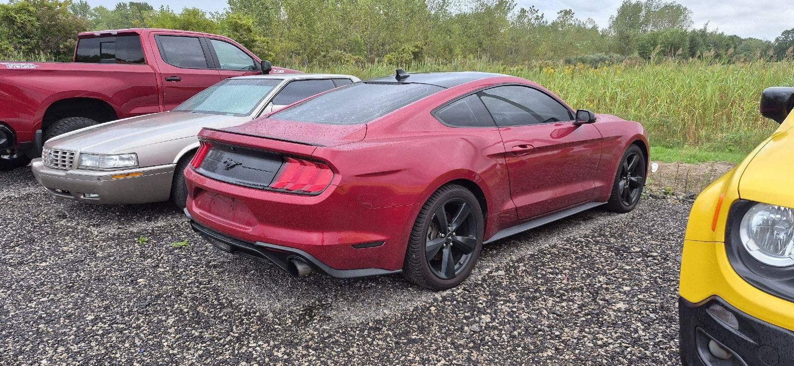 Used 2022 Ford Mustang Coupe w/ Equipment Group 101A RWD image 3