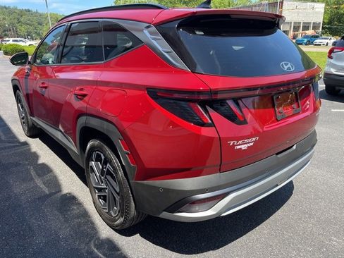 Used 2025 Hyundai Tucson Limited image 14