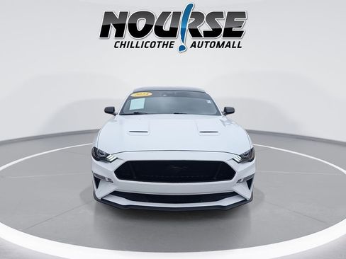Used 2023 Ford Mustang GT Premium w/ Mustang Nite Pony Package image 3