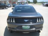 Used 2019 Ford Mustang Coupe image 6