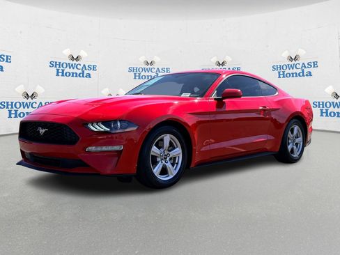 Used 2019 Ford Mustang Coupe image 2