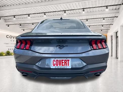 Used 2024 Ford Mustang Premium w/ Mustang Nite Pony Package RWD image 10