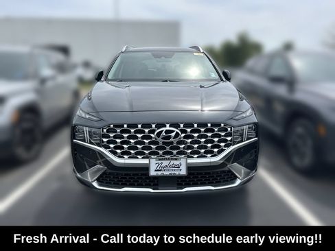 Used 2023 Hyundai Santa Fe Limited AWD/4WD image 2