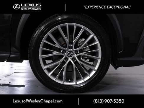 Used 2025 Lexus NX 350 AWD w/ Cold Area Package image 3