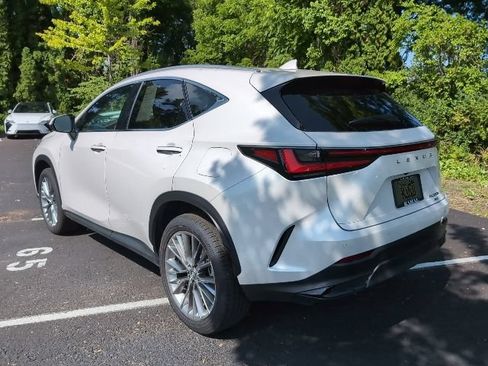 Used 2025 Lexus NX 350h AWD w/ Cold Area Package image 9