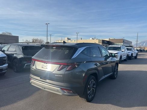Used 2025 Hyundai Tucson Limited image 5