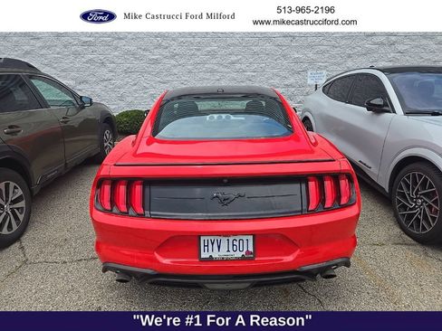 Used 2019 Ford Mustang Coupe w/ Equipment Group 101A RWD image 5