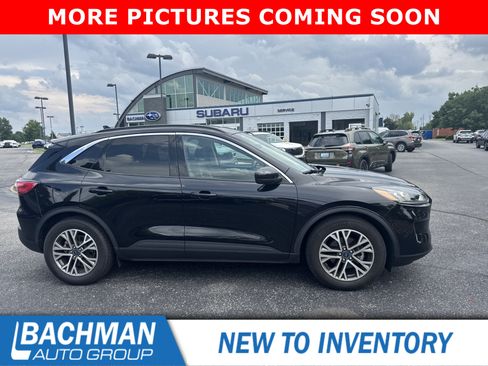 Used 2020 Ford Escape SEL FWD image 2