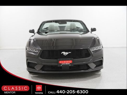 Used 2024 Ford Mustang Premium RWD image 3