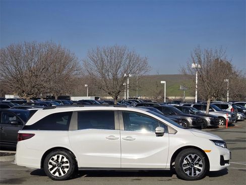 New 2026 Honda Odyssey EX-L image 3