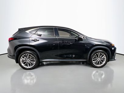 Used 2023 Lexus NX 350h AWD