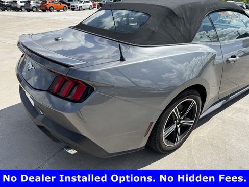 Used 2024 Ford Mustang Premium RWD image 8
