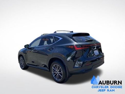 Used 2025 Lexus NX 350h AWD w/ Cold Area Package image 5
