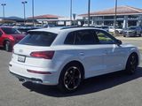 Used 2020 Audi SQ5 Premium Plus w/ Premium Plus Package image 3