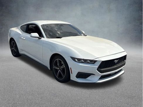 Used 2024 Ford Mustang Premium RWD image 1