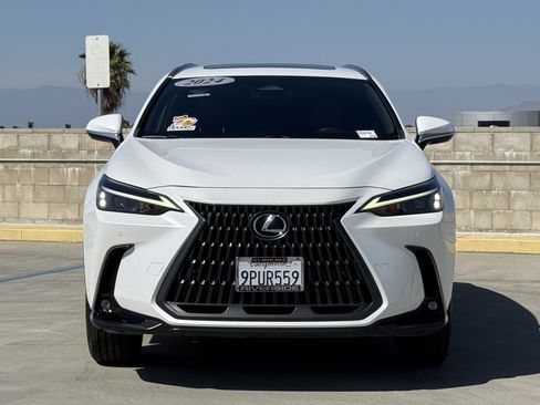Certified 2024 Lexus NX 250 FWD w/ Cold Area Package image 6
