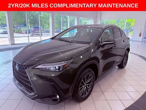 Certified 2025 Lexus NX 250 FWD w/ Cold Area Package image 3