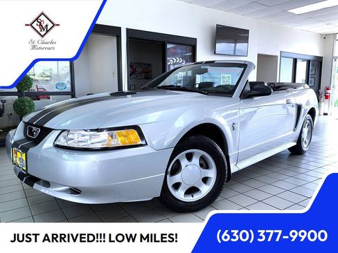 Used 2000 Ford Mustang Convertible RWD image 1
