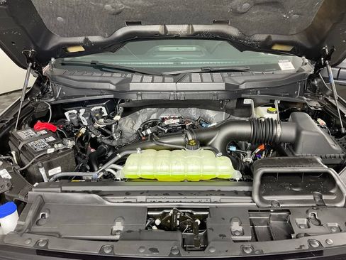 New 2026 Ford F150 XLT w/ Equipment Group 302A MID RWD image 9