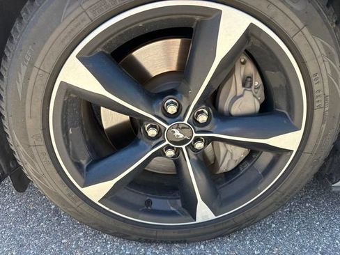 Used 2019 Ford Mustang GT w/ Equipment Group 301A RWD image 13