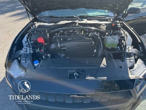 New 2026 Ford Mustang Premium w/ Bronze Appearance Package image 23