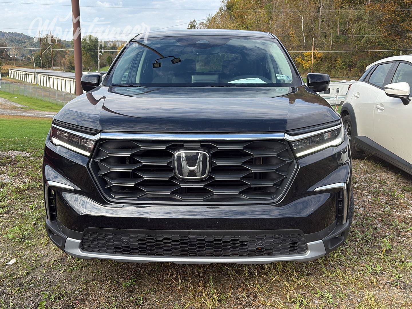 Used 2025 Honda Pilot EX-L image 1