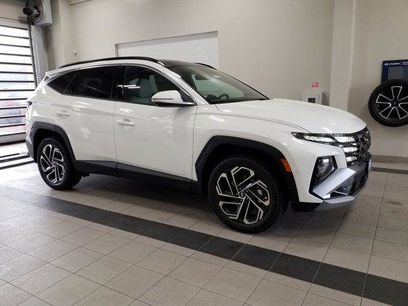 New 2026 Hyundai Tucson Limited
