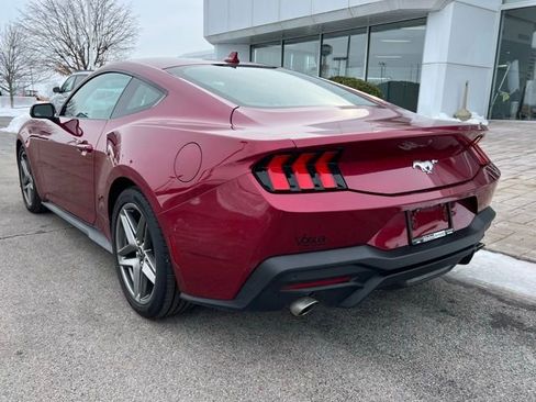 Used 2025 Ford Mustang Coupe image 7