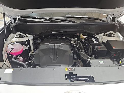 New 2026 Hyundai Palisade Calligraphy image 31