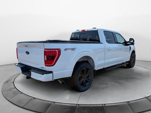 Used 2023 Ford F150 XLT w/ Equipment Group 302A High AWD/4WD image 5