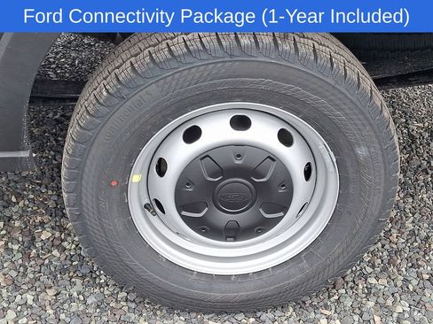 New 2026 Ford Transit 250 148 Medium Roof w/ Load Area Protection Package RWD image 5