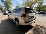 Used 2013 Lexus GX 460 image 5