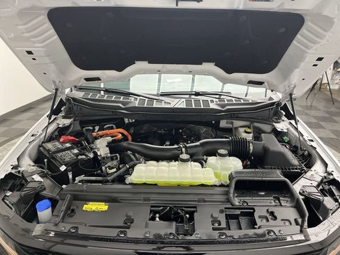 New 2025 Ford F150 XLT w/ Equipment Group 302A MID image 28