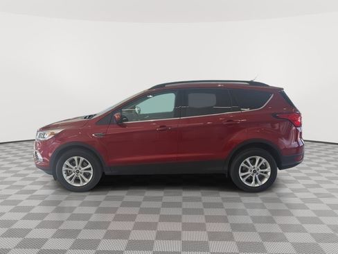 Used 2019 Ford Escape SEL AWD/4WD image 2