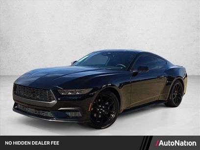 Used 2025 Ford Mustang Premium w/ Mustang Nite Pony Package