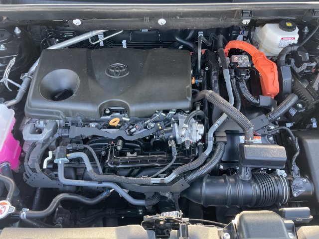 Certified 2025 Toyota RAV4 XLE AWD/4WD image 31