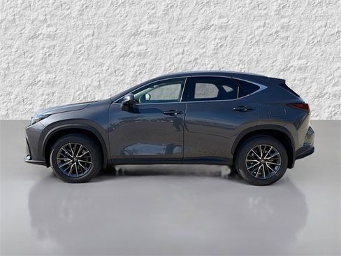 New 2026 Lexus NX 350 AWD w/ Premium Package image 6