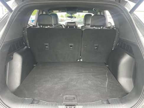 Used 2024 Ford Escape ST-Line image 6