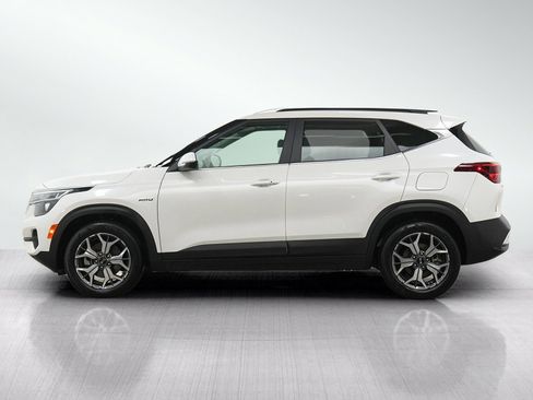 Used 2021 Kia Seltos EX AWD/4WD image 2