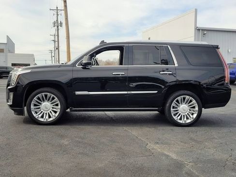 Used 2016 Cadillac Escalade Platinum image 2