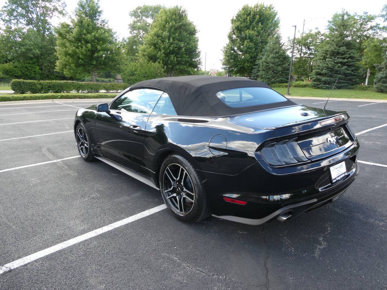 Used 2019 Ford Mustang Premium RWD image 7